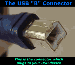 USB B connector